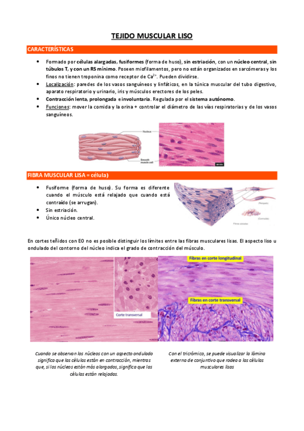 Miniatura del documento Tejido-muscular-liso.pdf
