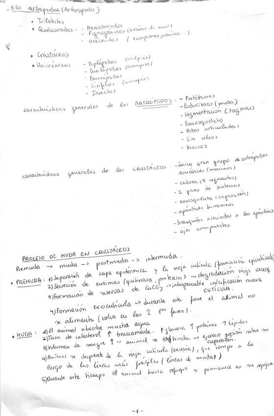 Miniatura del documento Cosas-utiles-para-BP.pdf