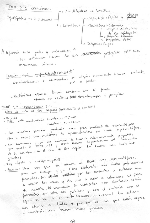 Miniatura del documento Temario-BP-2-de-2.pdf
