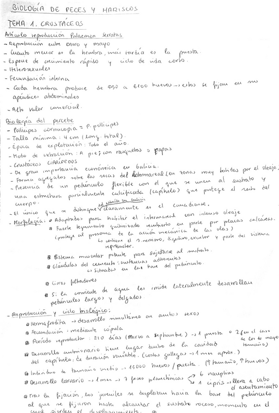 Miniatura del documento Temario-BP-1-de-2.pdf