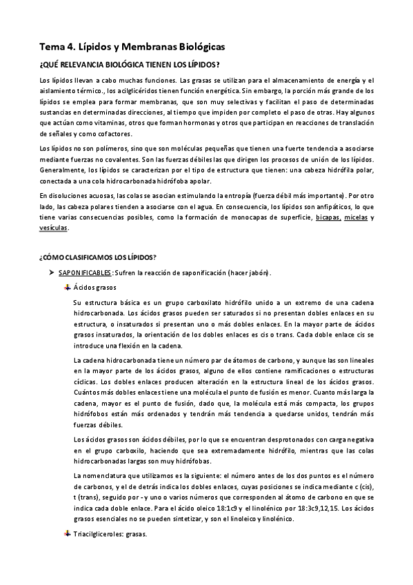 Miniatura del documento TEMA-4.pdf