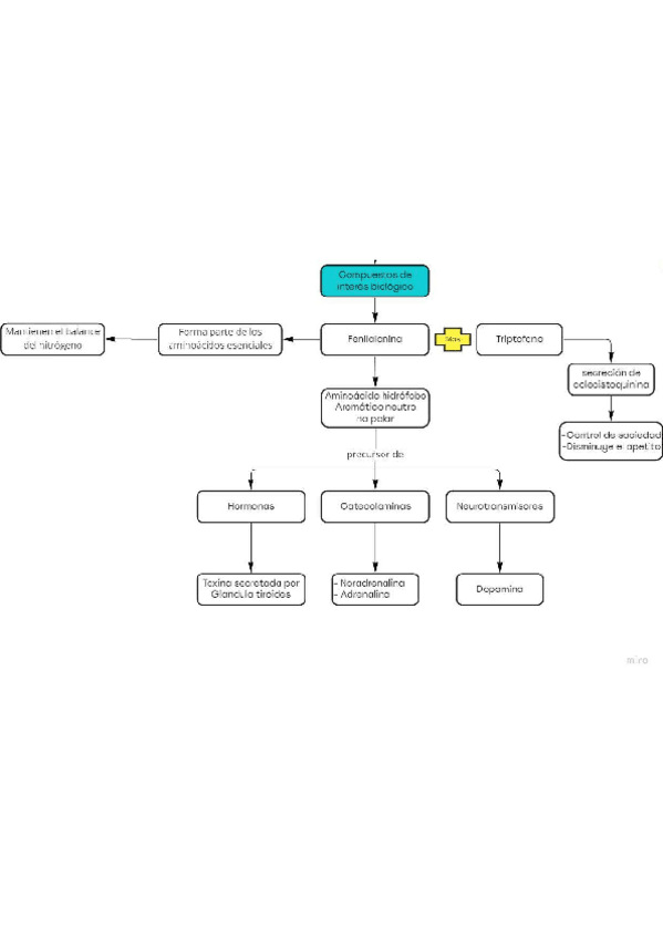 Miniatura del documento ciclo-de-la-Urea.pdf