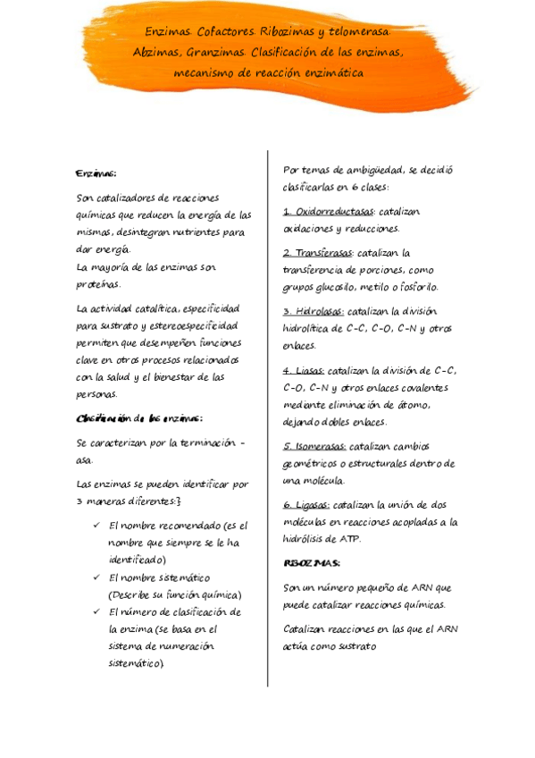 Miniatura del documento Resumen-Enzimas-sesion-01.pdf