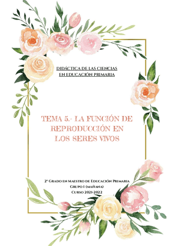 Miniatura del documento DIDACTICA-DE-LAS-CIENCIAS-TEMA-5.pdf