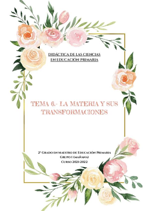 Miniatura del documento DIDACTICA-DE-LAS-CIENCIAS-TEMA-6.pdf