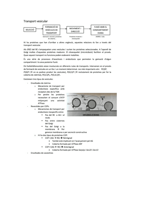 Miniatura del documento biocel-10.pdf