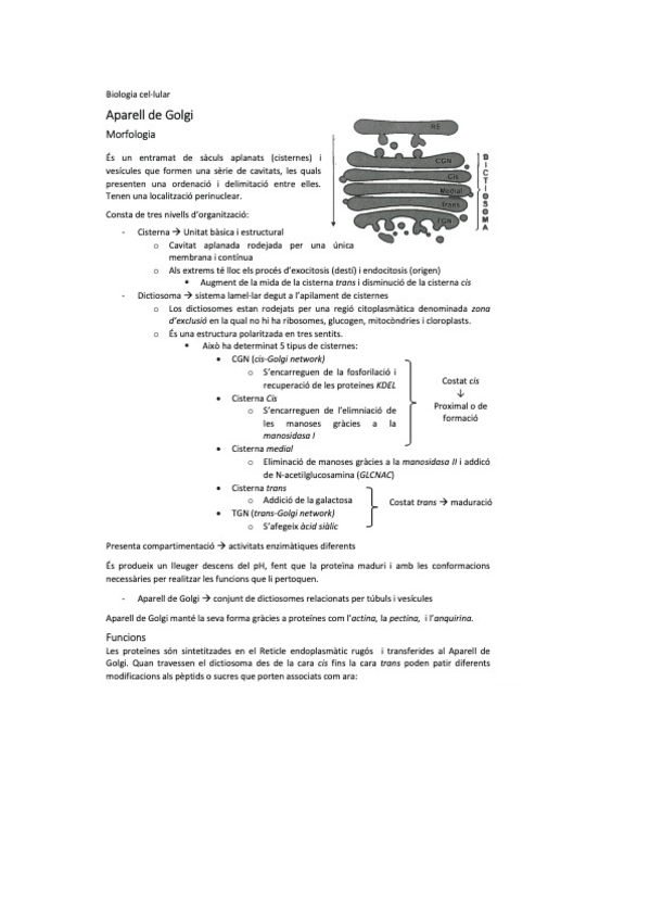 Miniatura del documento biocel-8.pdf