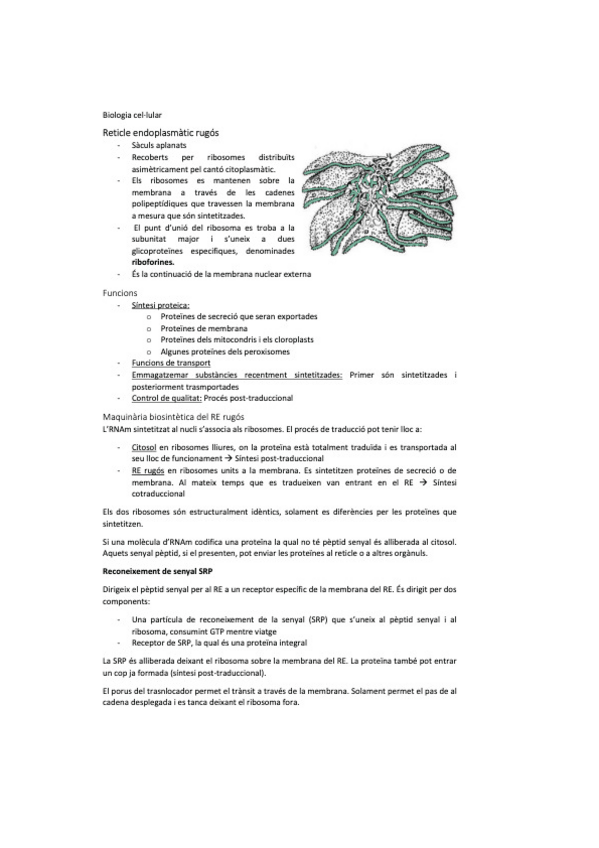 Miniatura del documento biocel-7.pdf
