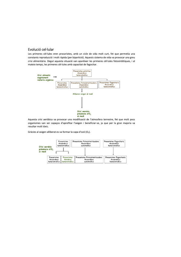 Miniatura del documento biocel-2.pdf