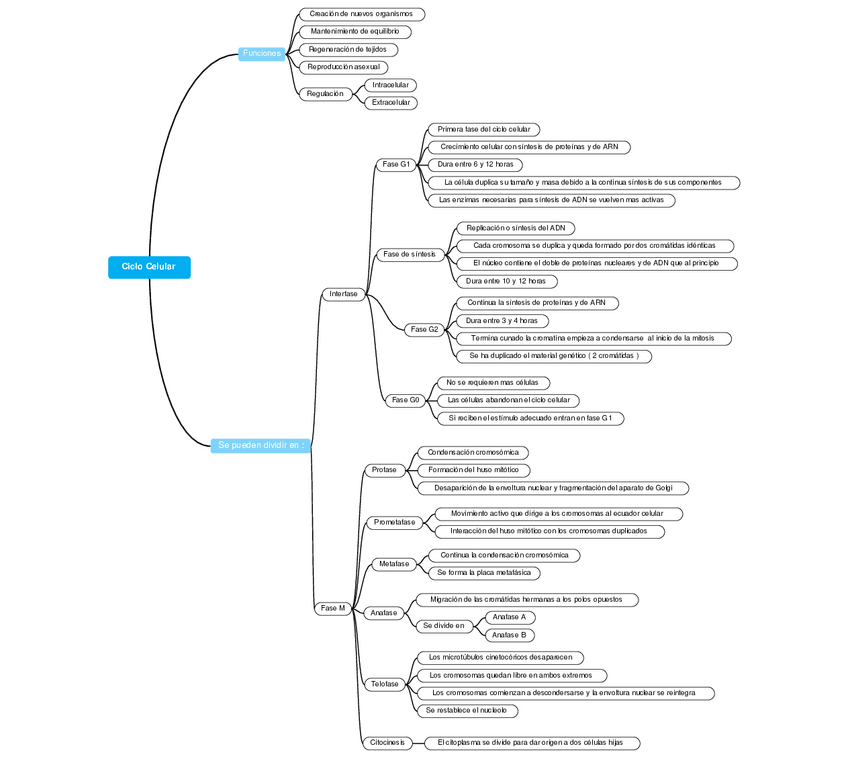 Miniatura del documento Ciclo-celular.pdf