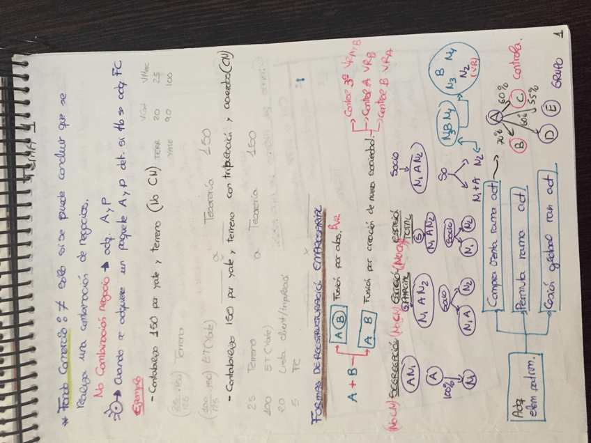 Miniatura del documento IMG_1202.JPG