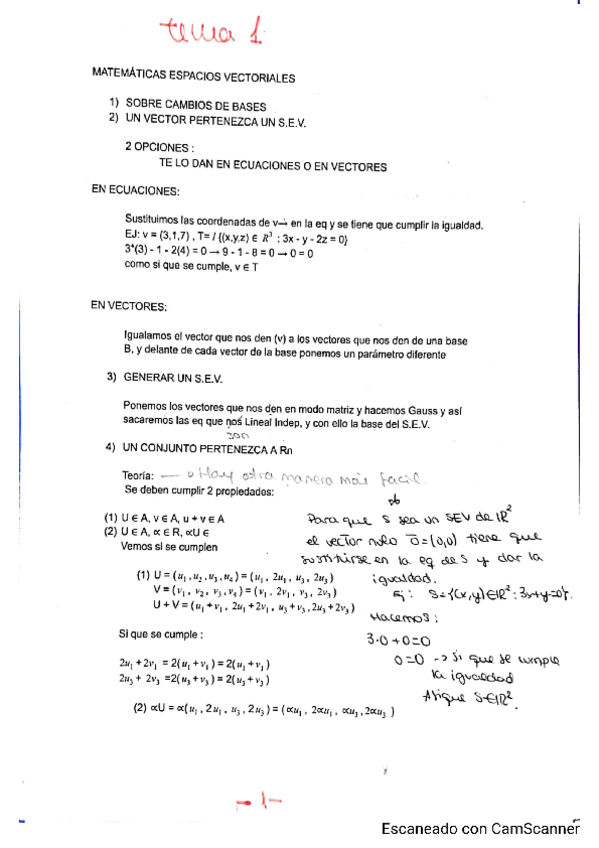 Miniatura del documento TEMA-1-MATES-ESPACIOS-VECTORIALES.pdf