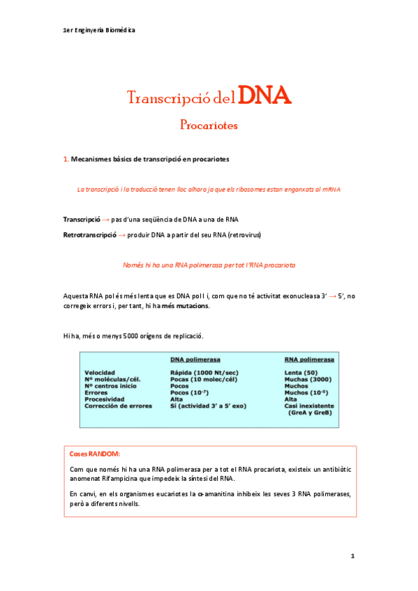 Miniatura del documento Transcripcio-del-DNAprocariotes.pdf