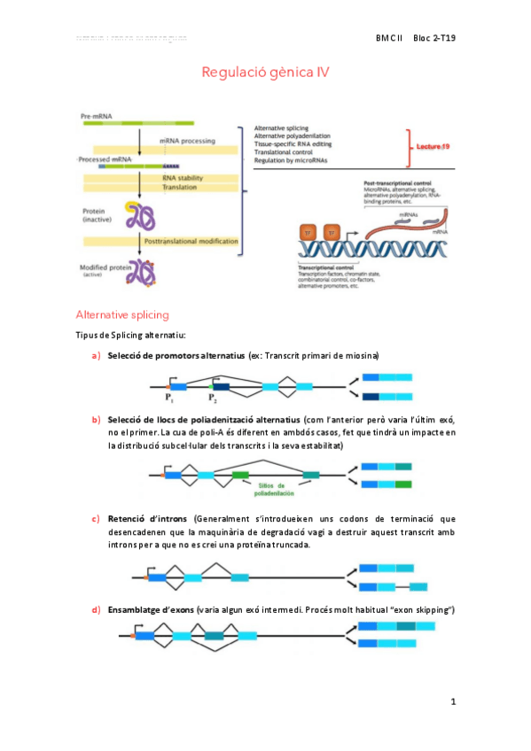 Miniatura del documento 19Regulacio-genica-IV.pdf