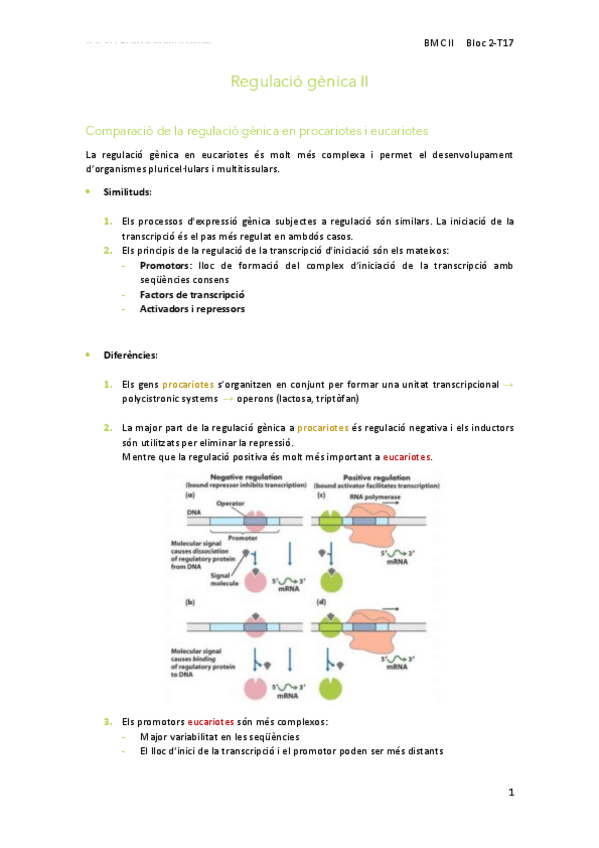 Miniatura del documento 17Regulacio-genica-II.pdf