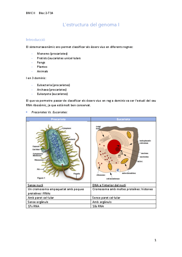Miniatura del documento 14Estructura-del-genoma-I.pdf