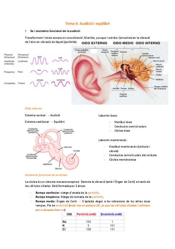 Miniatura del documento Tema-6.pdf