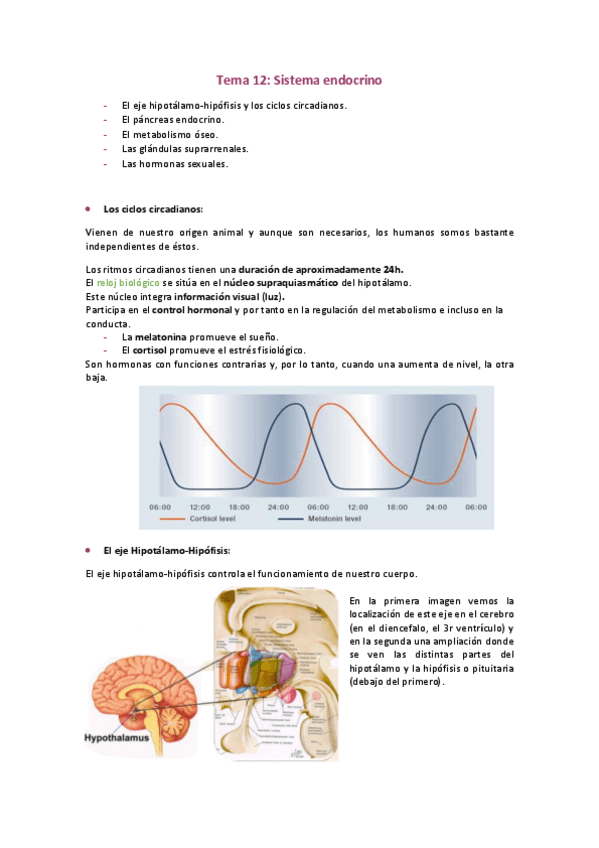 Miniatura del documento Tema-12.pdf
