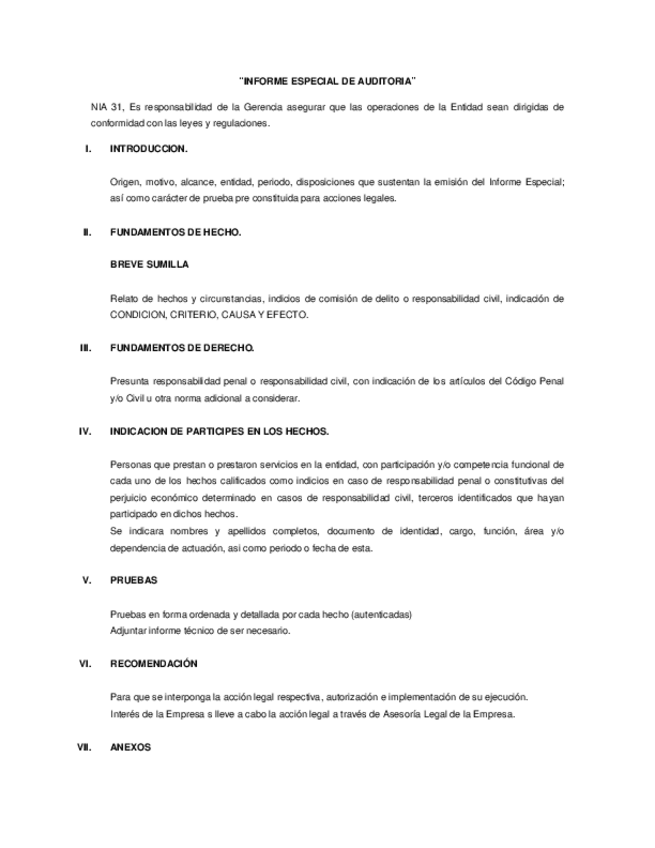 Miniatura del documento Informe-especial-de-auditoria.pdf
