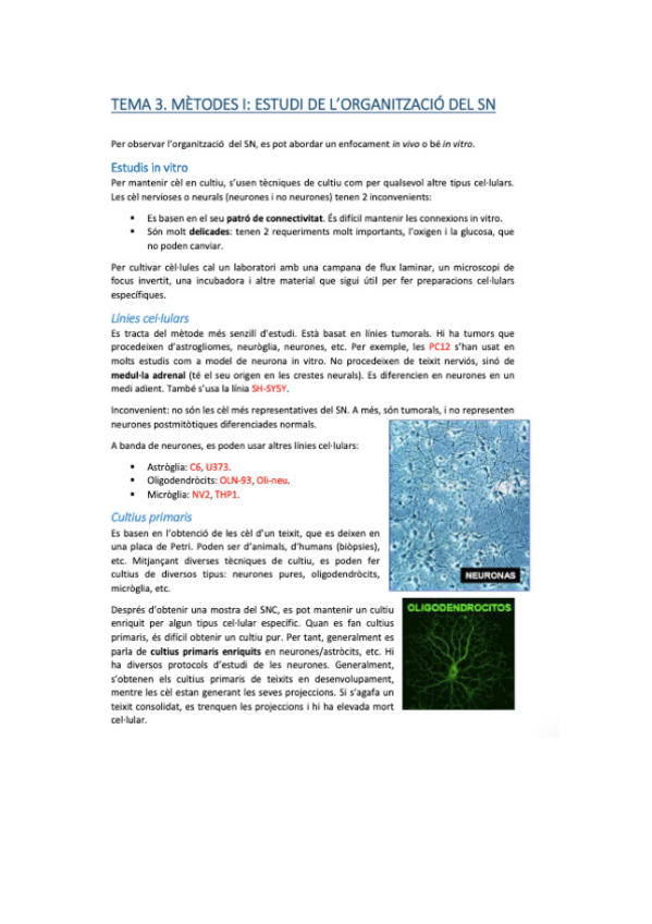 Miniatura del documento neurobio-33.pdf