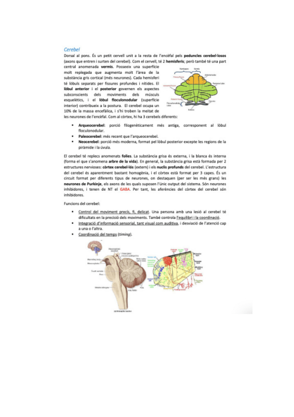 Miniatura del documento neurobio-29.pdf