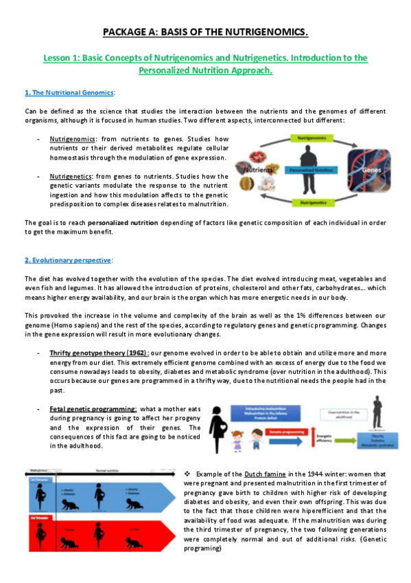 Miniatura del documento Lesson 1.pdf