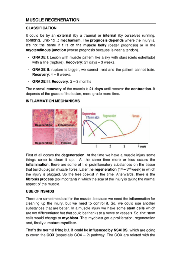 Miniatura del documento MUSCLE-REGENERATION.pdf