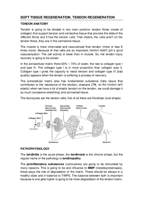 Miniatura del documento SOFT-TISSUE-REGENERATION.pdf