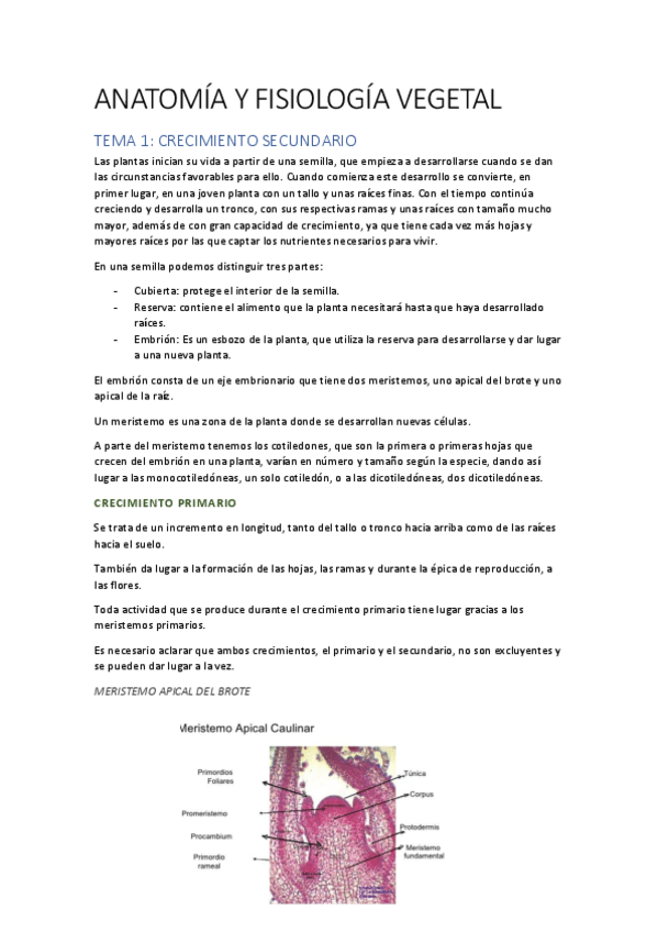 Miniatura del documento AFV T1.pdf