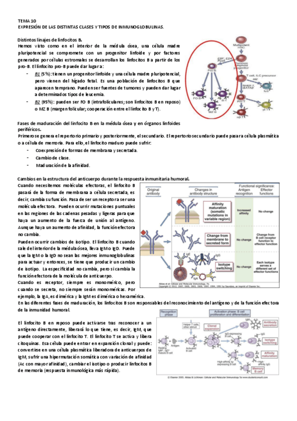 Miniatura del documento 10.pdf