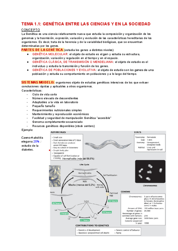 Miniatura del documento Genetica-1.pdf