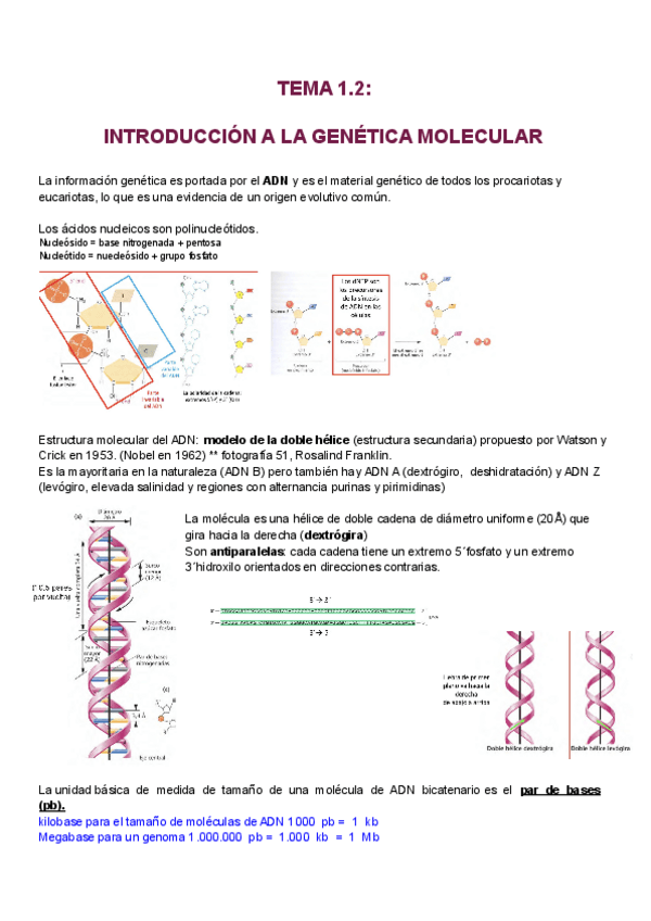 Miniatura del documento Genetica-1.pdf