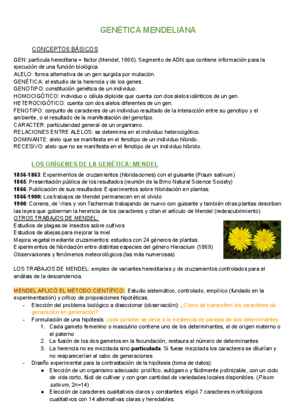Miniatura del documento Genetica-2.pdf