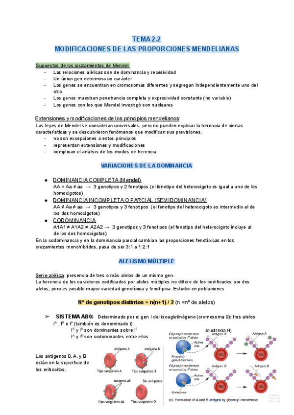 Miniatura del documento Genetica-2.pdf