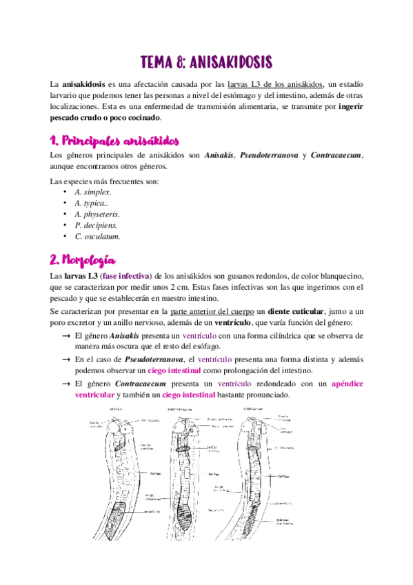 Miniatura del documento TEMA-8.pdf