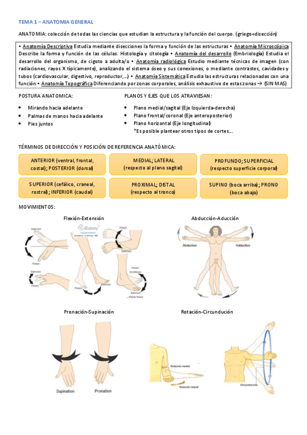 Miniatura del documento ANATOMIA-TODO.pdf