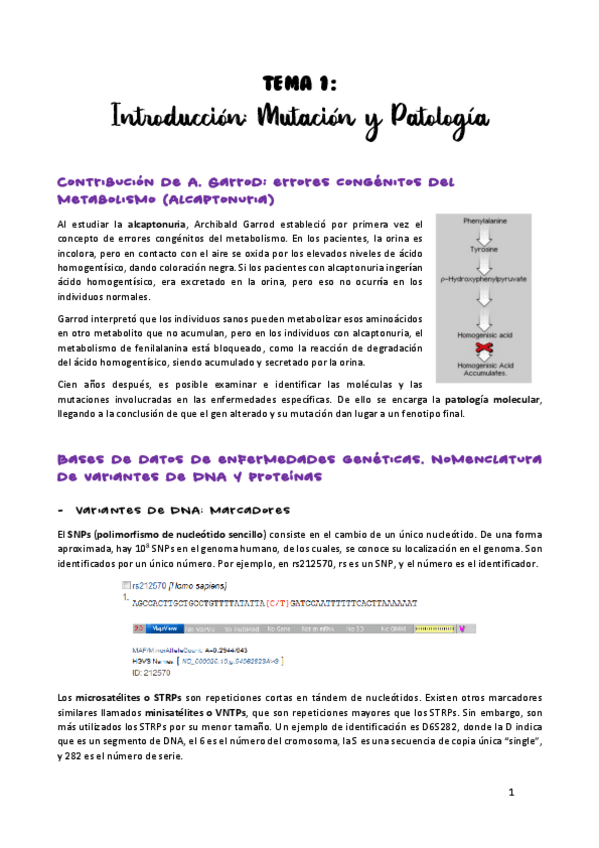Miniatura del documento TEMA-1.pdf