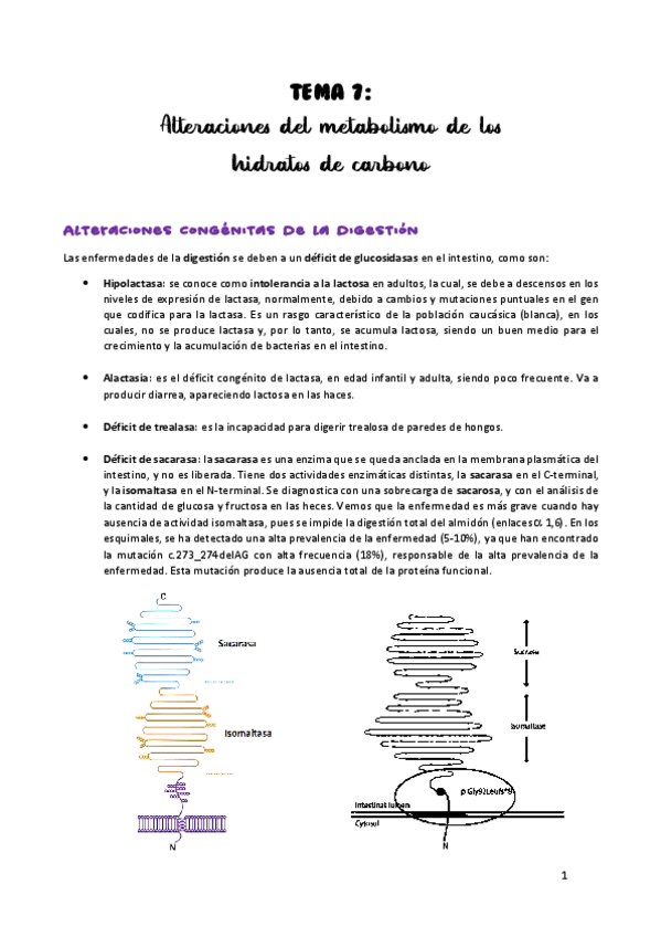 Miniatura del documento TEMA-7.pdf
