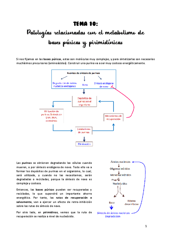 Miniatura del documento TEMA-10.pdf
