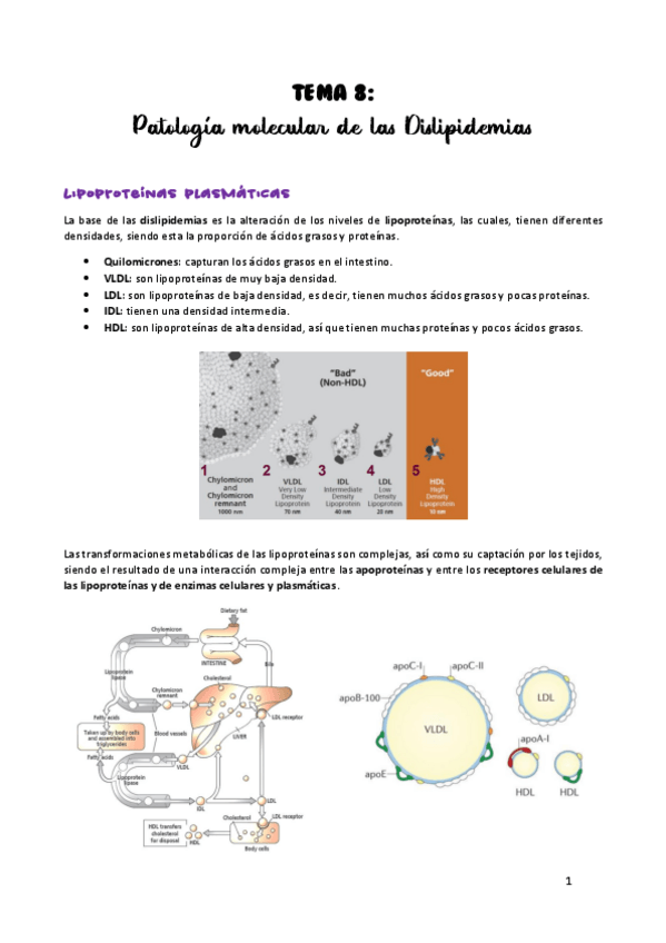 Miniatura del documento TEMA-8.pdf