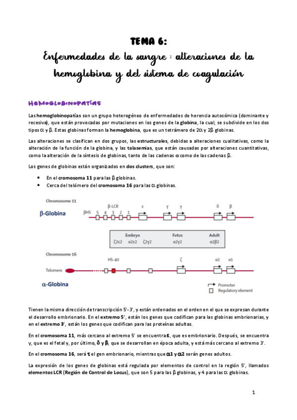 Miniatura del documento TEMA-6.pdf