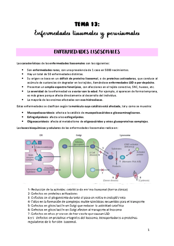 Miniatura del documento TEMA-13.pdf