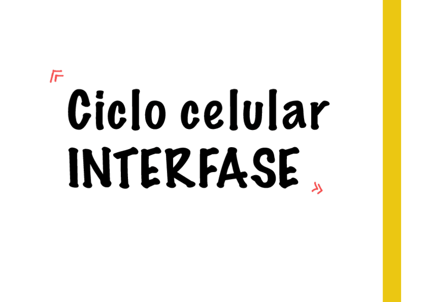 Miniatura del documento Ciclo-Celular.pdf