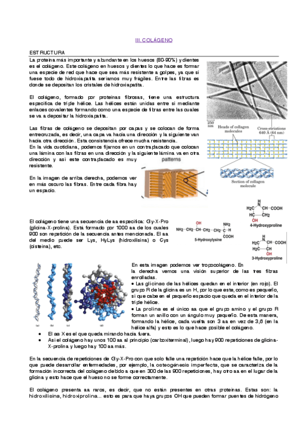 Miniatura del documento 3-COLAGENO.pdf