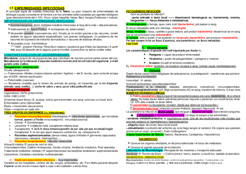 Miniatura del documento Segundo-parcial-pato.pdf