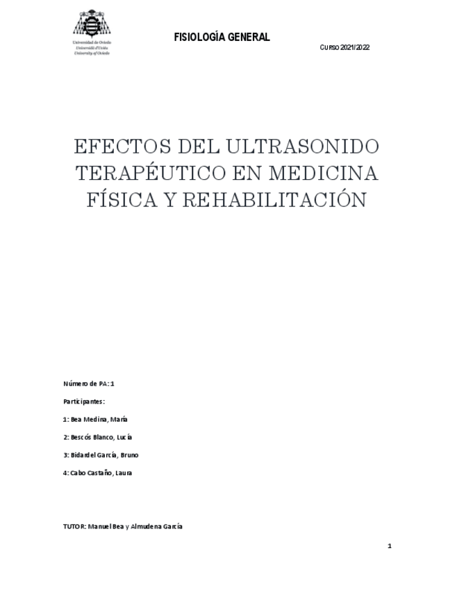 Miniatura del documento Ejemplo-de-Trabajo-Ultrasonido-Terapeutico.pdf