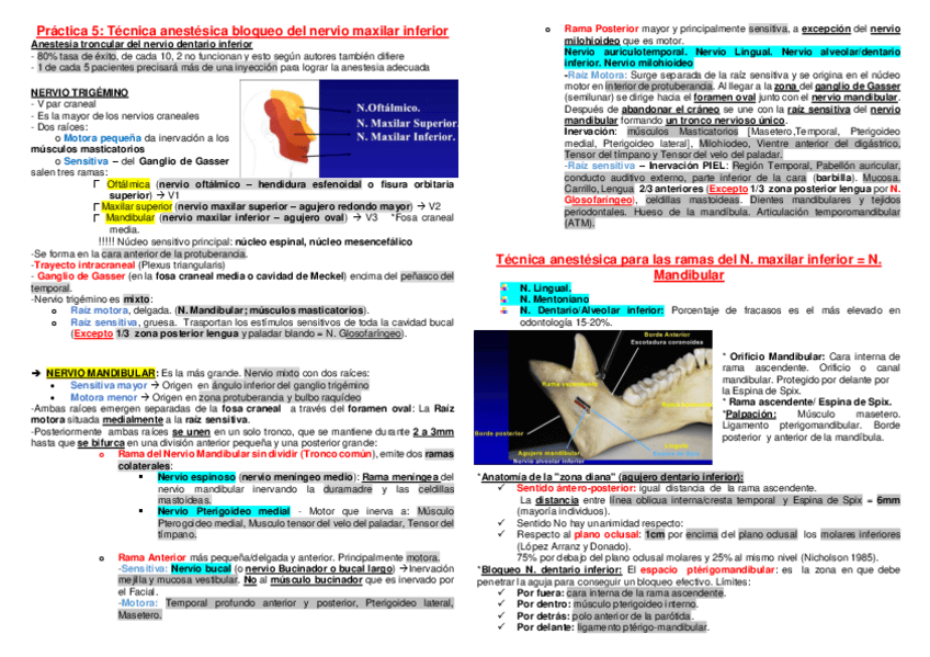 Miniatura del documento P5-Bloqueo-nervio-mandibular.pdf