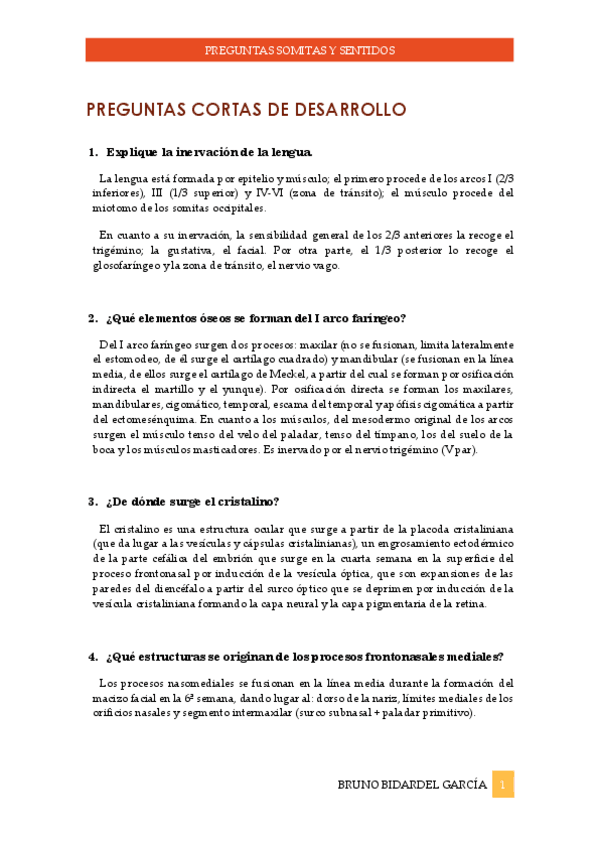 Miniatura del documento Preguntas-somitas-y-sentidos.pdf