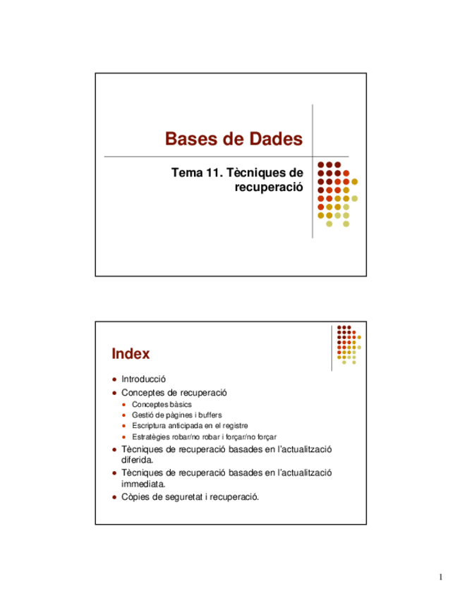 Miniatura del documento 11tecnicasrecuperacion.pdf