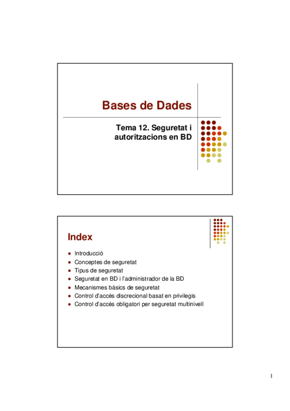 Miniatura del documento 12seguridadBD.pdf